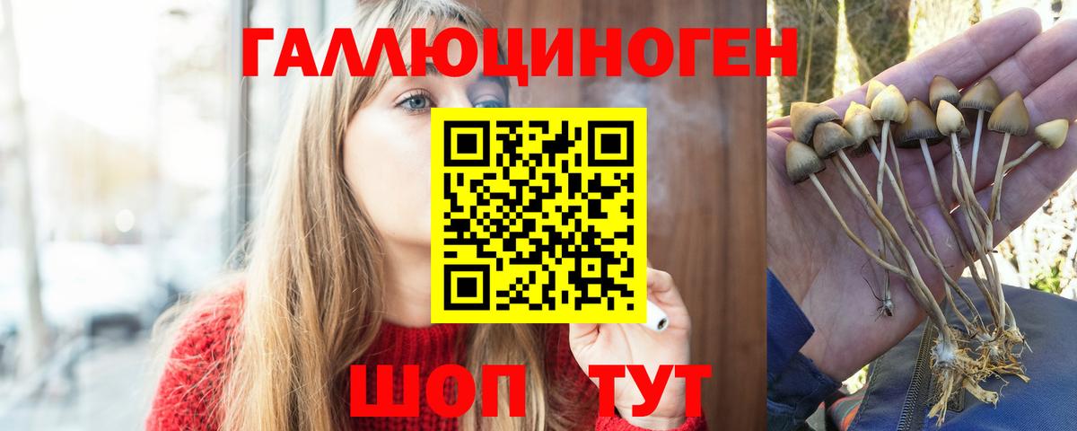 Псилоцибиновые грибы ЛСД  Галлюциногенные грибы мицелий  Ростов Великий  Вход с VPN 
